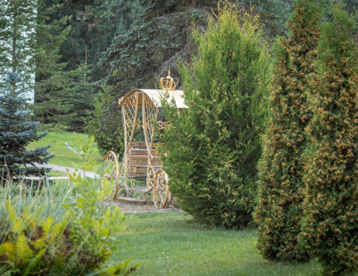 Санаторий «Нарочь» Беларусь